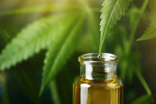 Olio di CBD con cannabidiolo