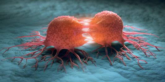 Oli CBD contro il cancro – Benefici e utilizzo