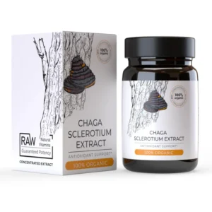 Estratto di fungo Chaga 370 mg 30 capsule
